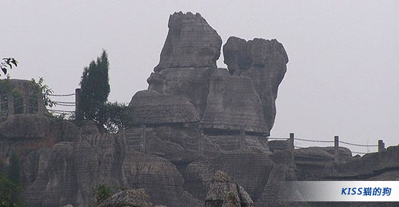 KISSè�Ĺ�